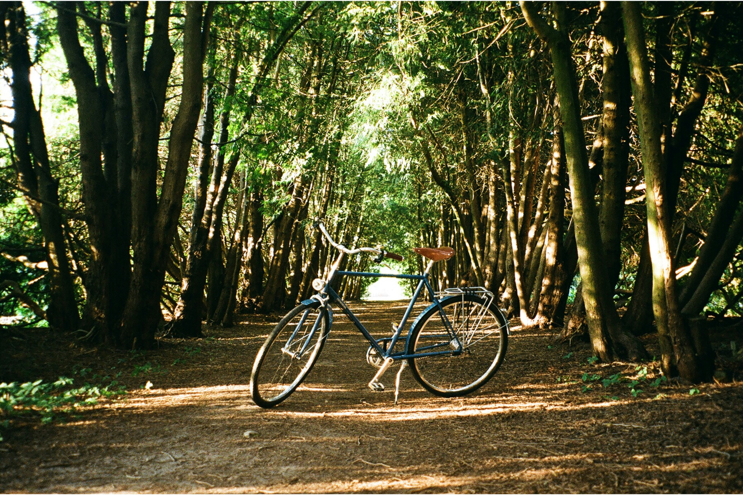 black city bike on brown dirt road in between green trees during daytime